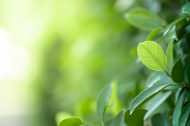 【黑龙江肺炎最新消息,黑龙江确诊肺炎疫情最新消息】